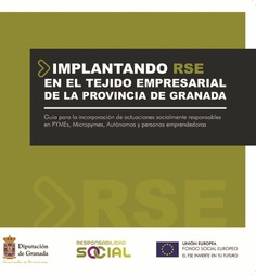 Implantando RSE en el tejido empresarial de la Provincia Implantando RSE en el tejido empresarial de la Provincia